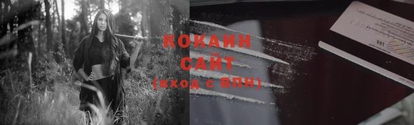 шишки Алексин