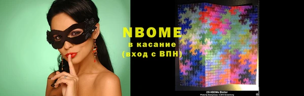 шишки Алексин