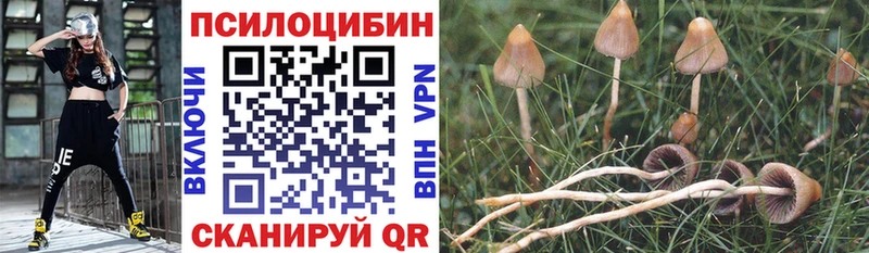 Галлюциногенные грибы Magic Shrooms  продажа наркотиков  Нефтекумск 