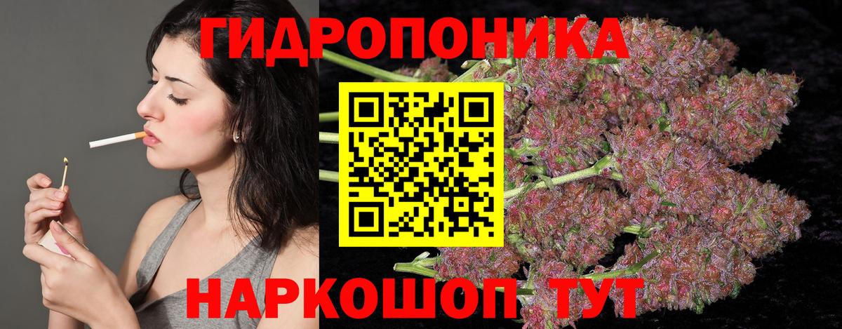 Бошки Шишки индика  Бошки марихуана LSD WEED  Бошки марихуана SATIVA & INDICA  Вход с VPN  Канабис White Widow  Нефтекумск 