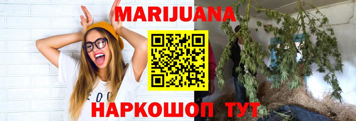 Канабис конопля Нефтекумск